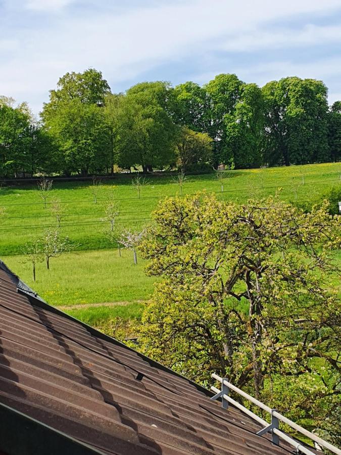 Ferienwohnung Mit Ausblick Kreuzlingen Dış mekan fotoğraf
